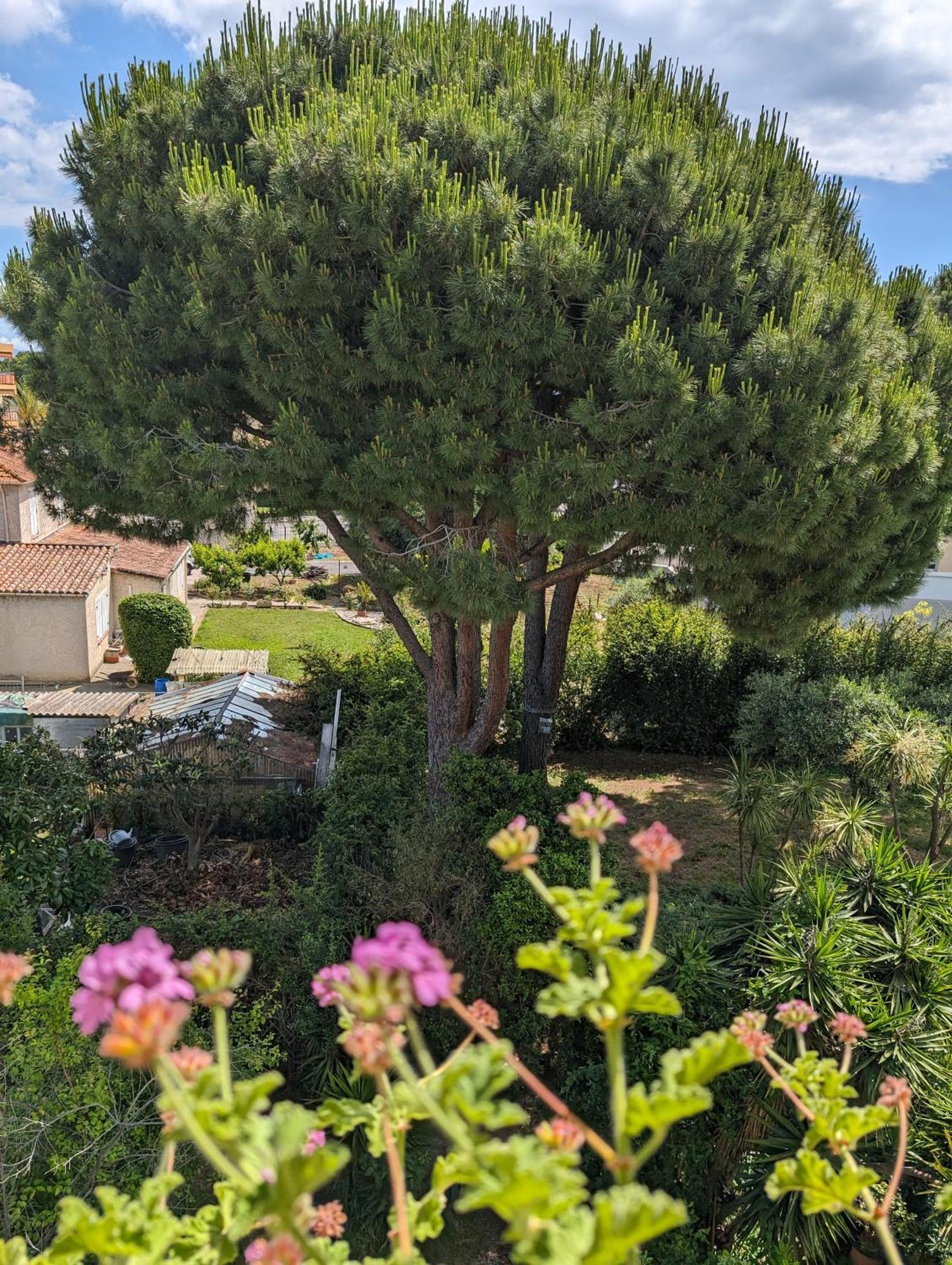 Studio Calme Dernier Etage Antibes Bagian luar foto